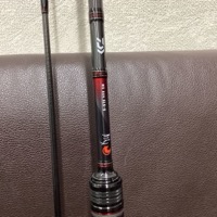 Daiwa ダイワ 月下美人 MX A64.5LS-S ロッド